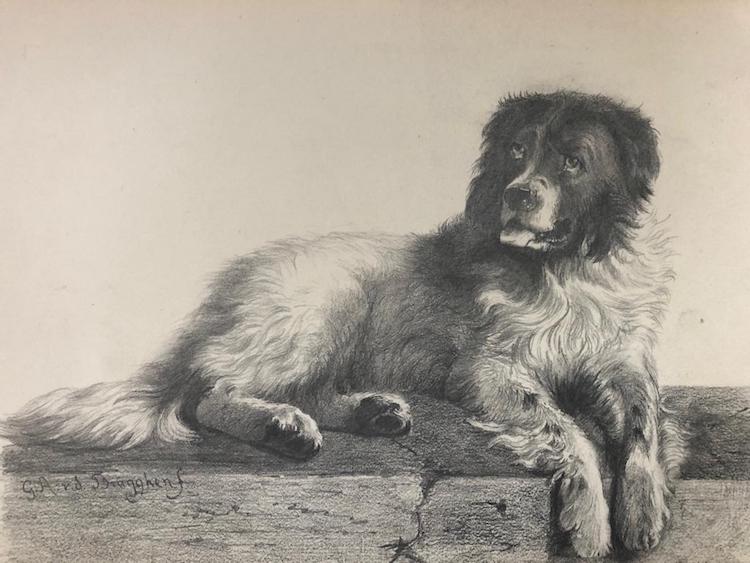 Guillaume Anne van der Brugghen-A dog