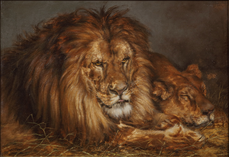 Adolphe Cnops-Lions resting