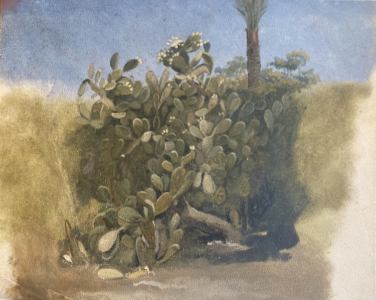 Willem de Famars Testas-Study of a Cactus