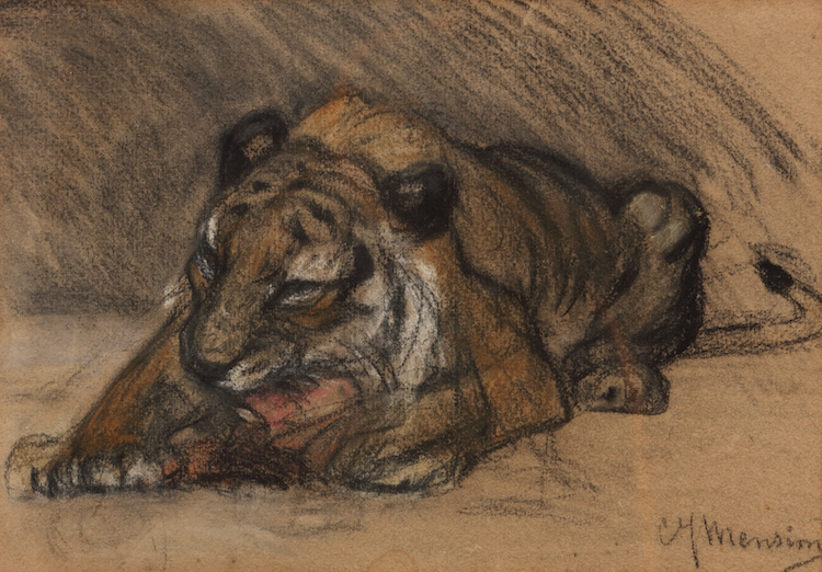 Cornelis Jan Mension-A Tiger