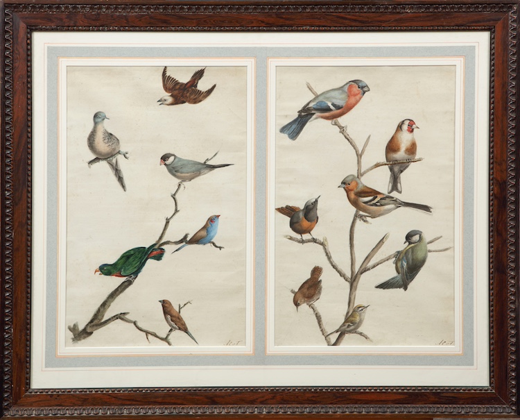 Adrien Christophe van Trigt-A pigeon, a parrot, a finch, a wren, a thrush,a blue tit, a bullfinch, and other (exotic) birds