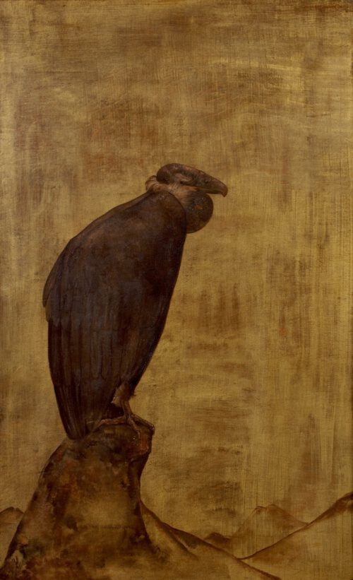 Willem van den Berg-A Vulture on a rock