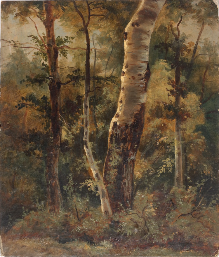 Jean François Xavier Roffiaen-Birches-a study